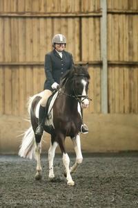 Isis Dressage Crown Farm Show 29th April 2012